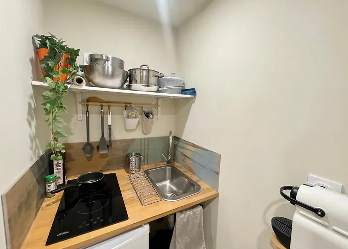 Apartment Palmiers, Coeur De Sur Le Parcours Des Arts