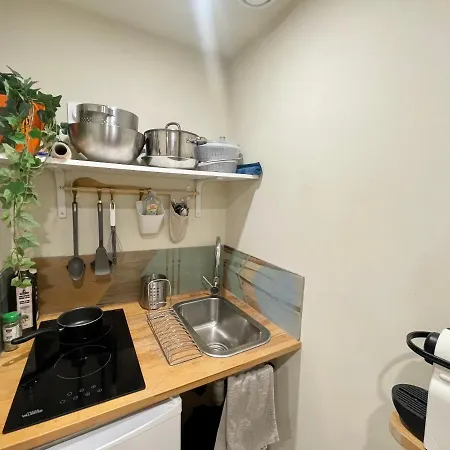 Appartement Palmiers, Cœur De Sur Le Parcours Des Arts